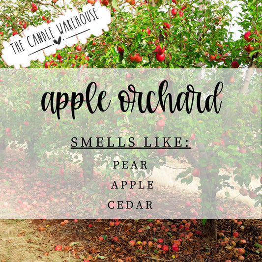 Apple Orchard 4 oz Candle