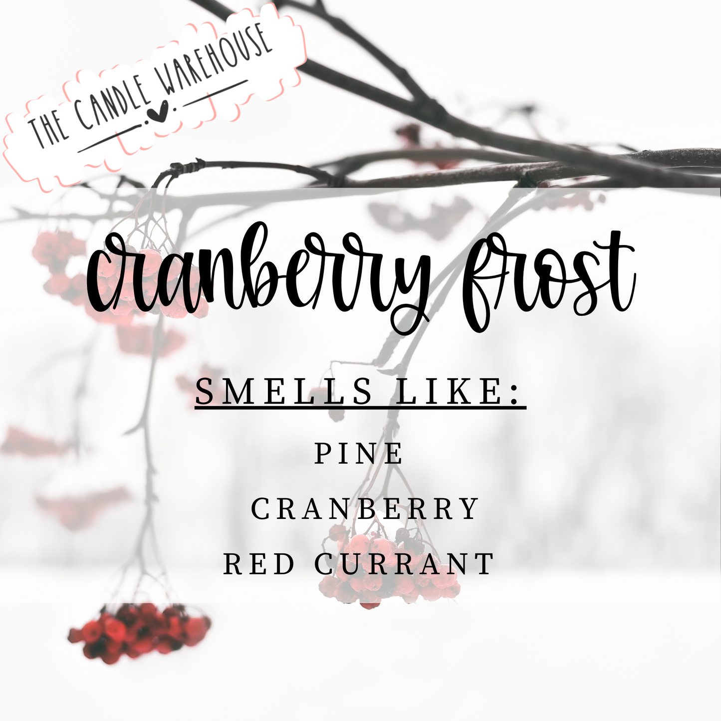 Cranberry Frost 9 oz Candle