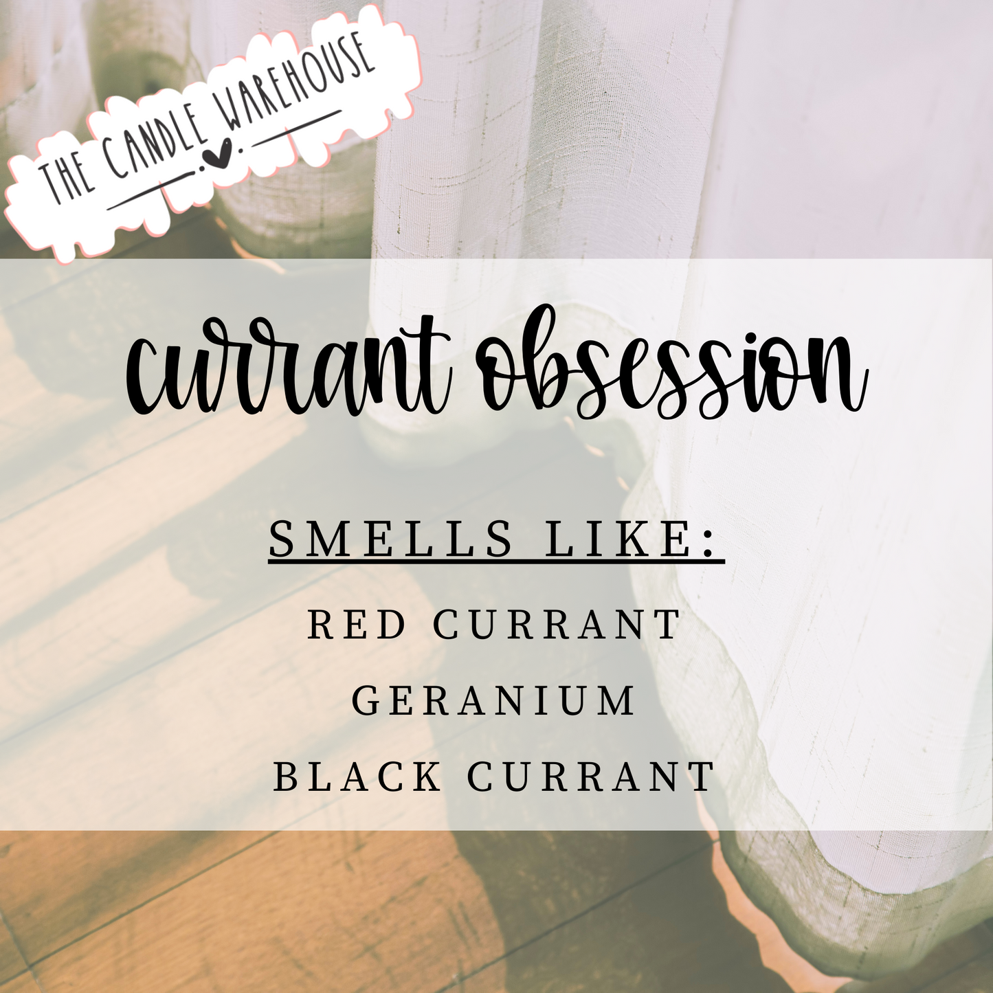 Currant Obsession 16 oz Candle