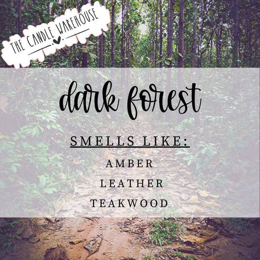 Dark Forest 4 oz Candle