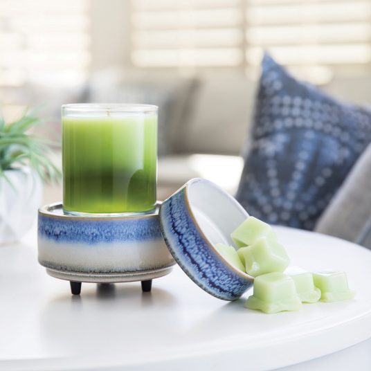 2-In-1 Classic Fragrance Warmer- Blue