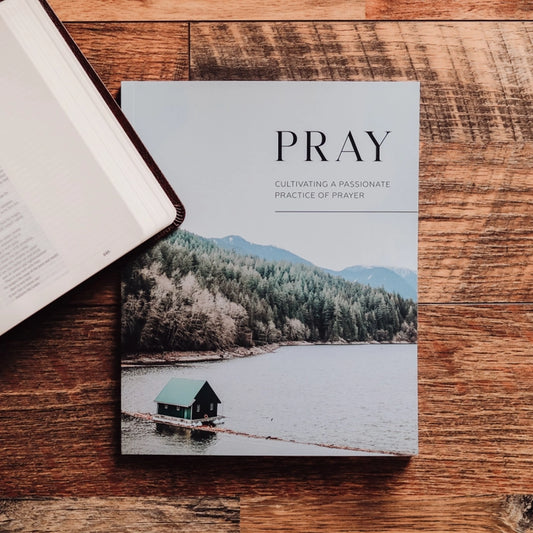Pray Cultivating A Passionate Practice Of Prayer Book - Men
