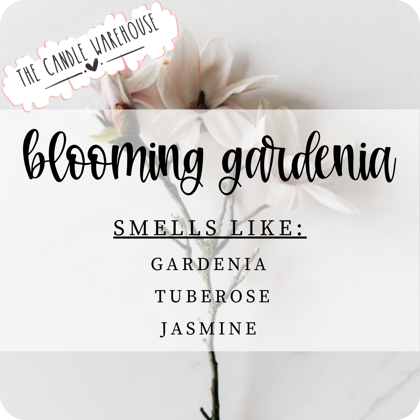 Blooming Gardenia 8 oz Candle
