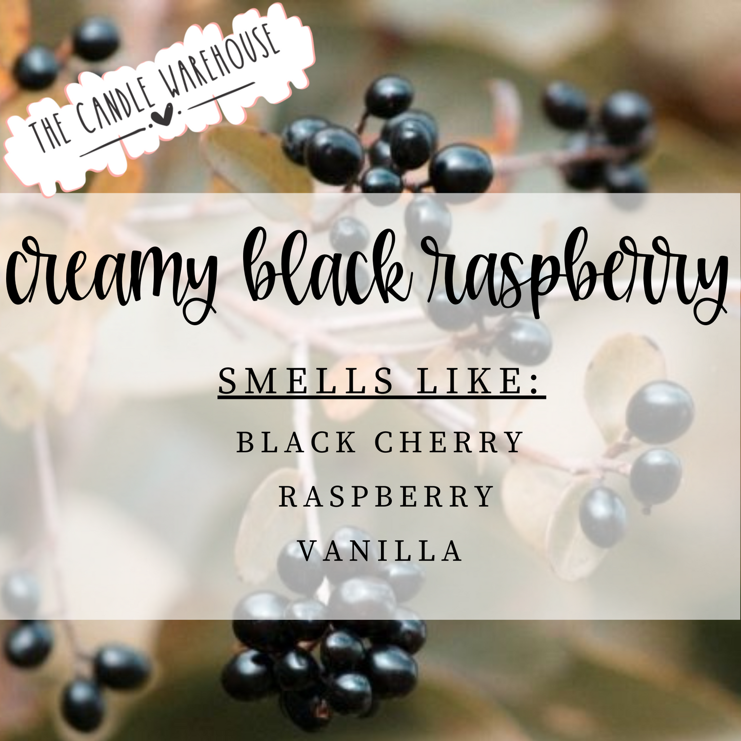 Creamy Black Raspberry 8 oz Candle