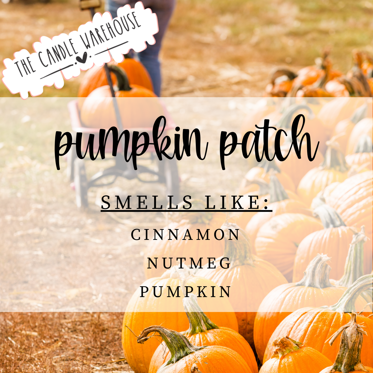 Pumpkin Patch 8 oz Candle