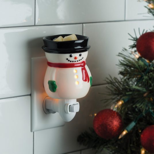 Frosty Wall Plug Fragrance Warmer