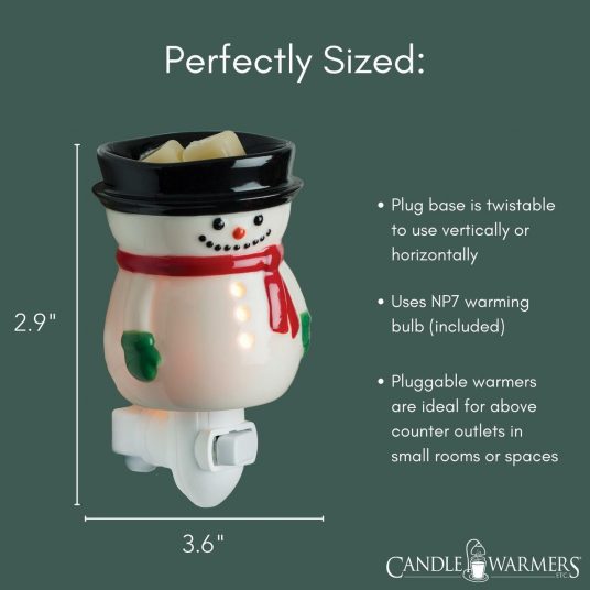 Frosty Wall Plug Fragrance Warmer