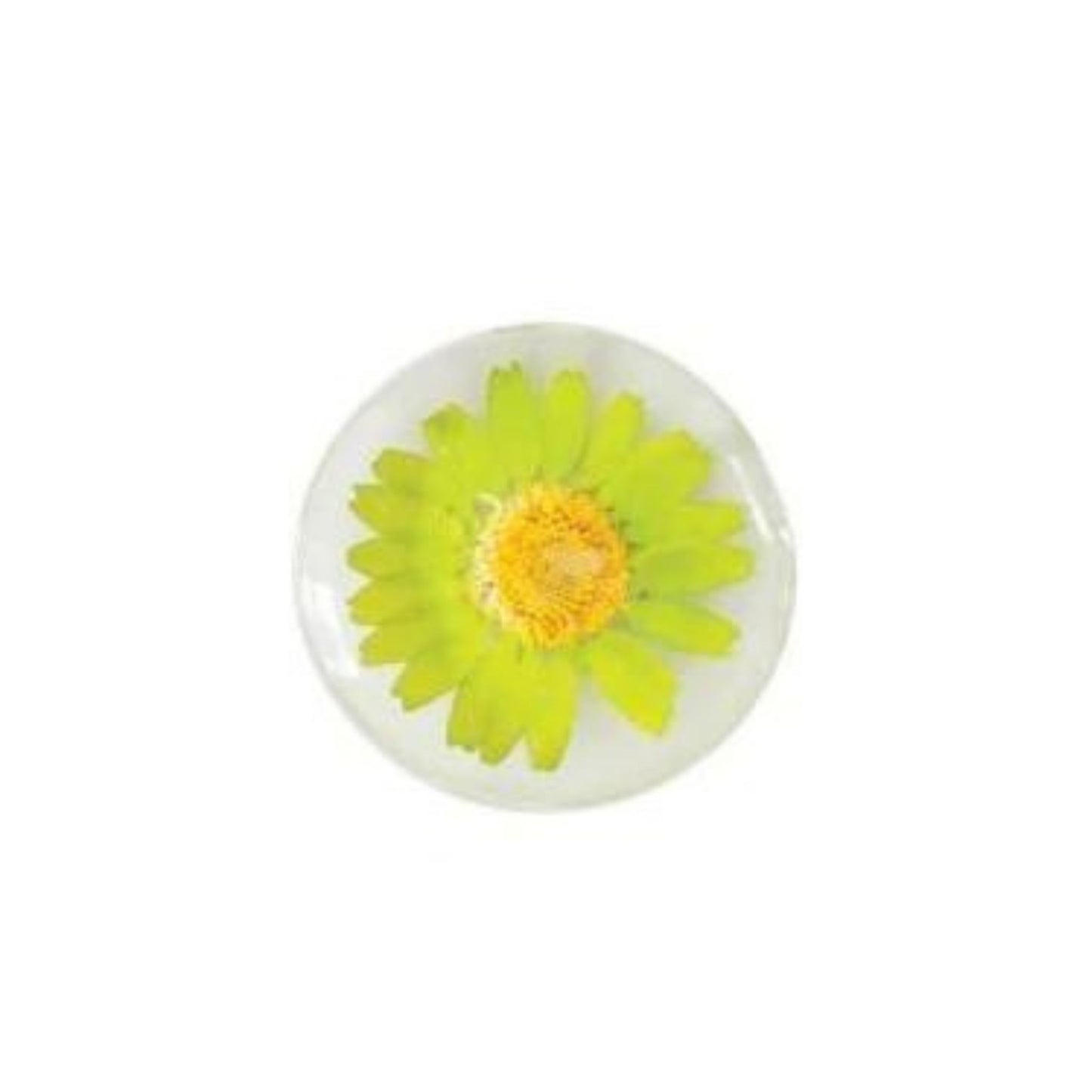 Floral Glass Magnet- Green